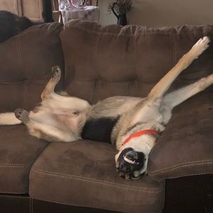 Meet your Posher, Jim